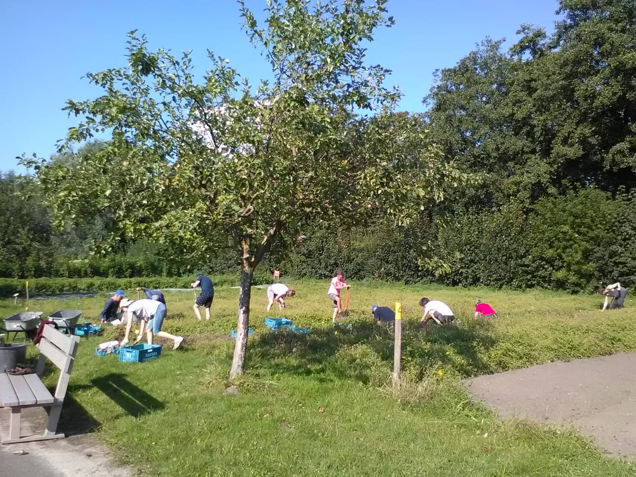 Stichting Boerengroep