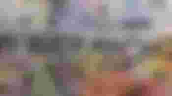 Helpline, Email and Live Chat Support Volunteers