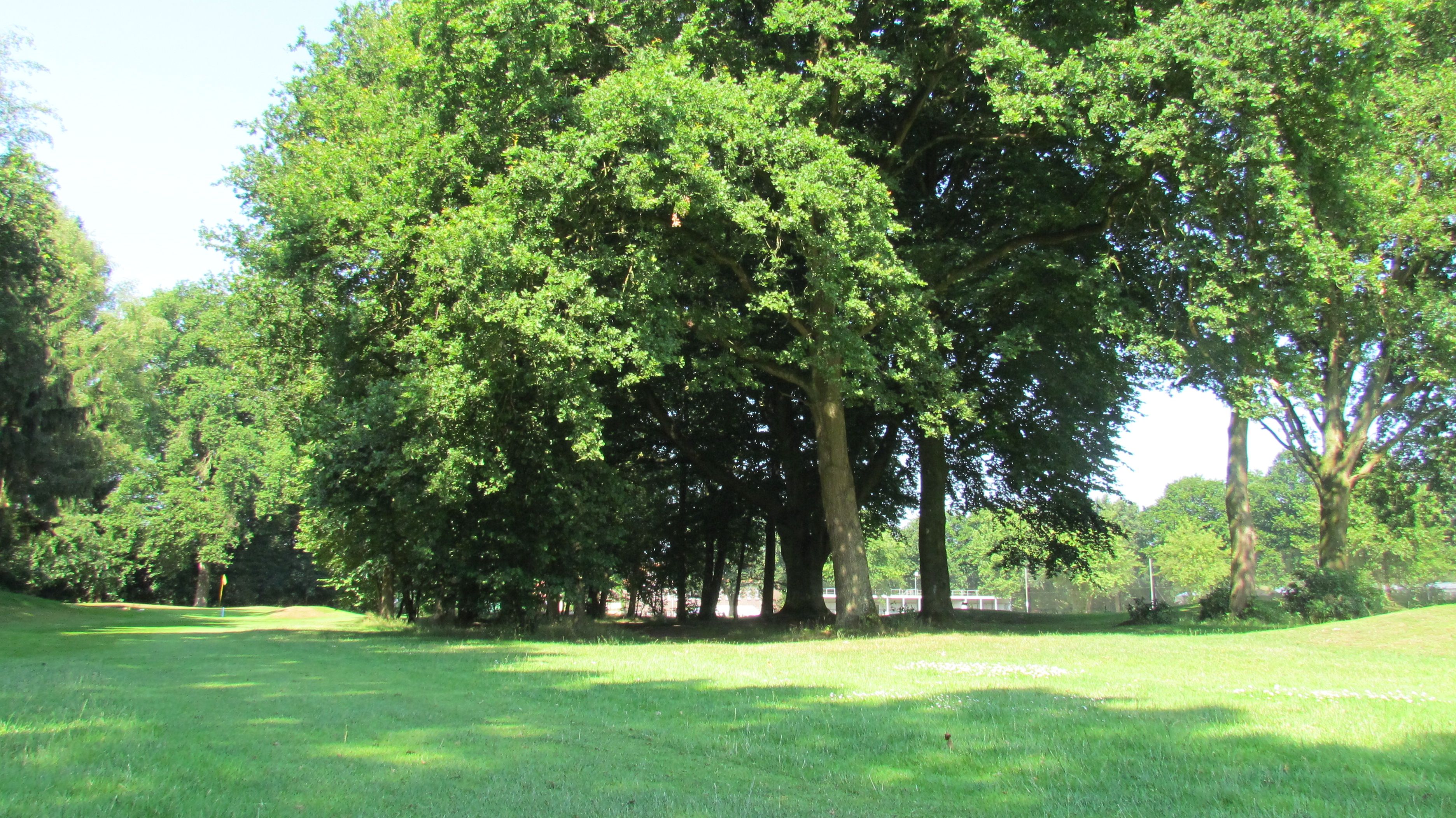 Stichting Golf Maasduinen