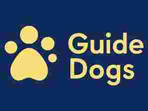 Guide Dogs - Puppy Raiser