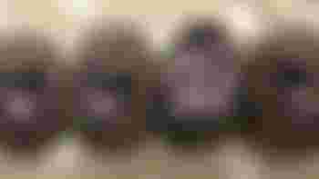 Morning Hedgehog Care Assistant 