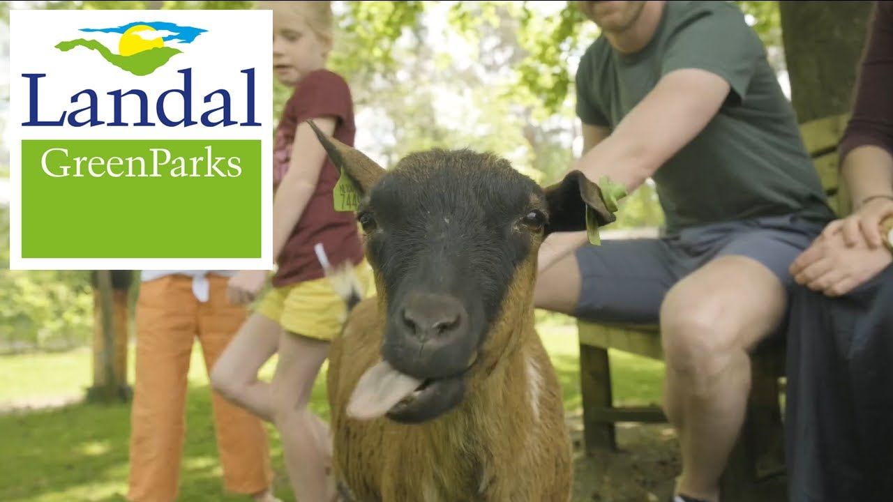 Landal Greenparcs Heideheuvel