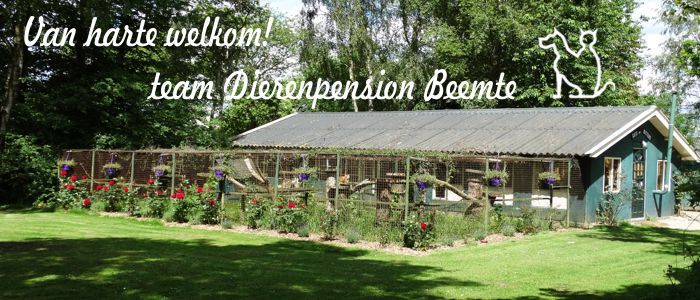 Dierenpension Beemte