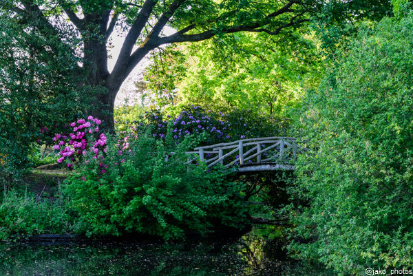 Stichting Vrienden van het Van Boetzelaerpark