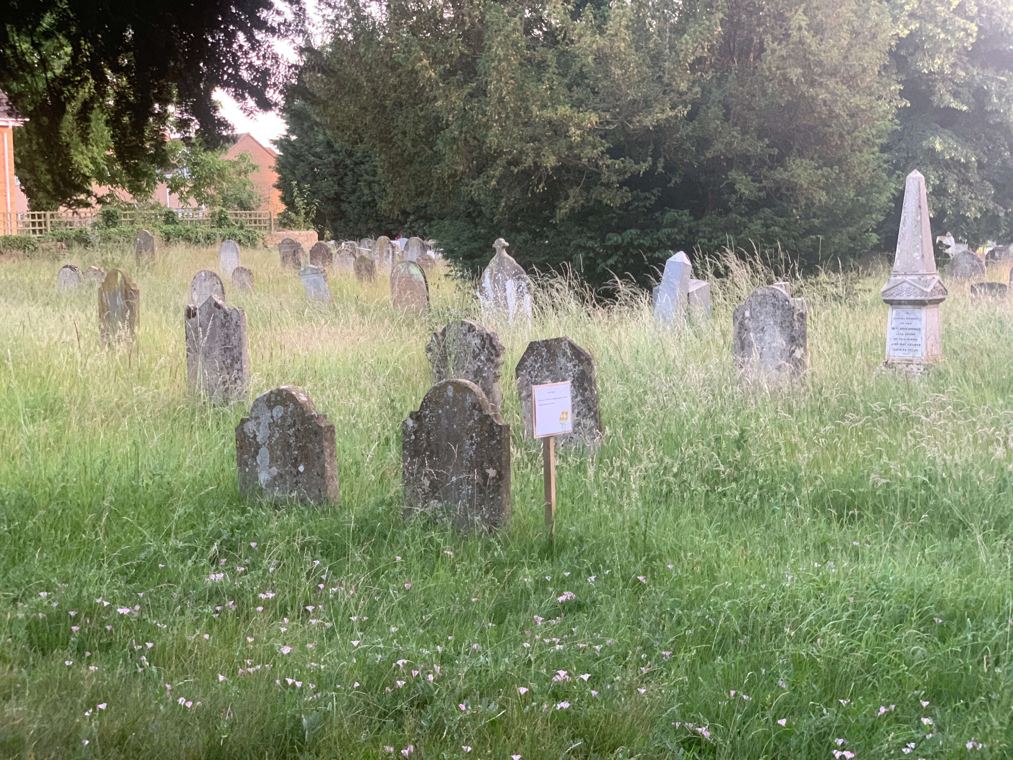 Rake and Refreshments