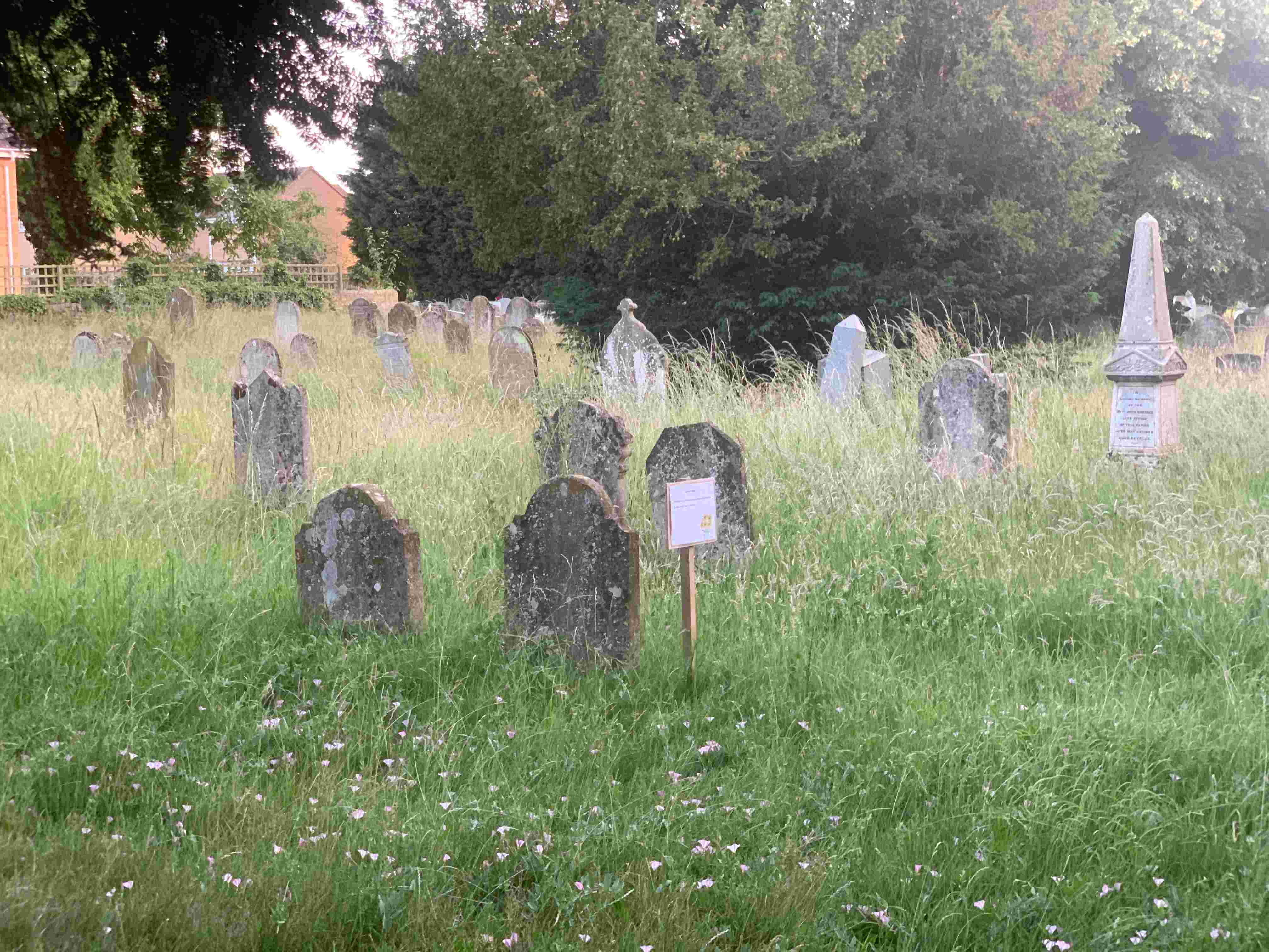 Rake and Refreshments