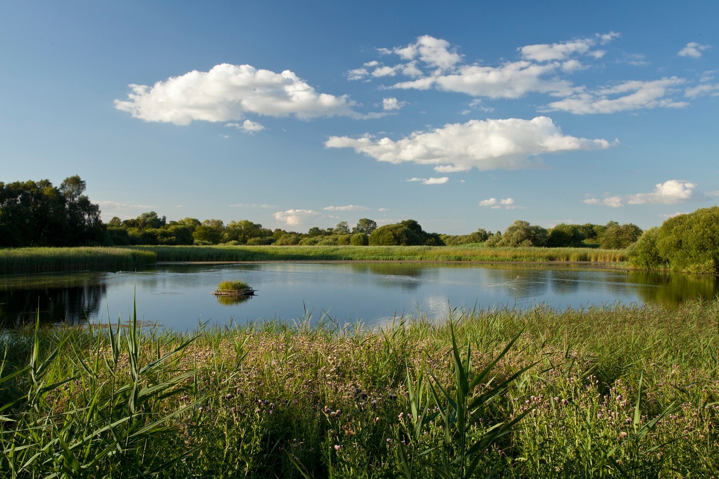 Wildlife Trust BCN Great Fen