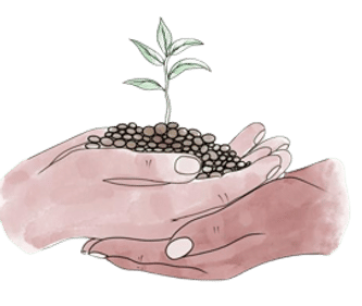 The Wild Hub Norfolk