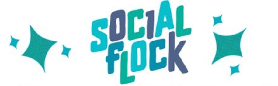 Social Flock