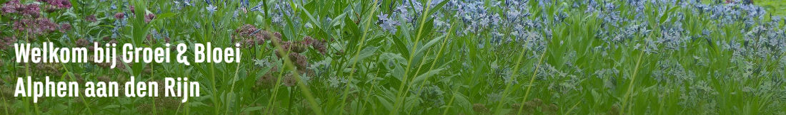 Groei & Bloei afd Alphen aan den Rijn e.o.