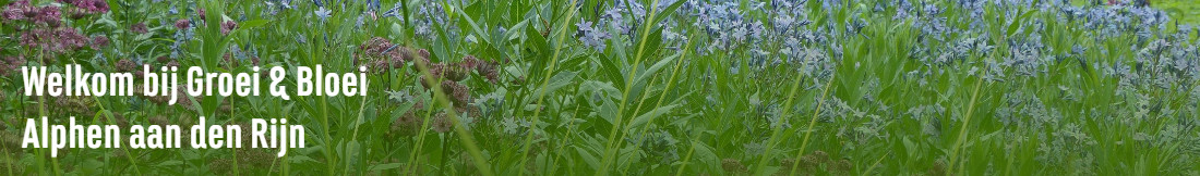 Groei & Bloei afd Alphen aan den Rijn e.o.