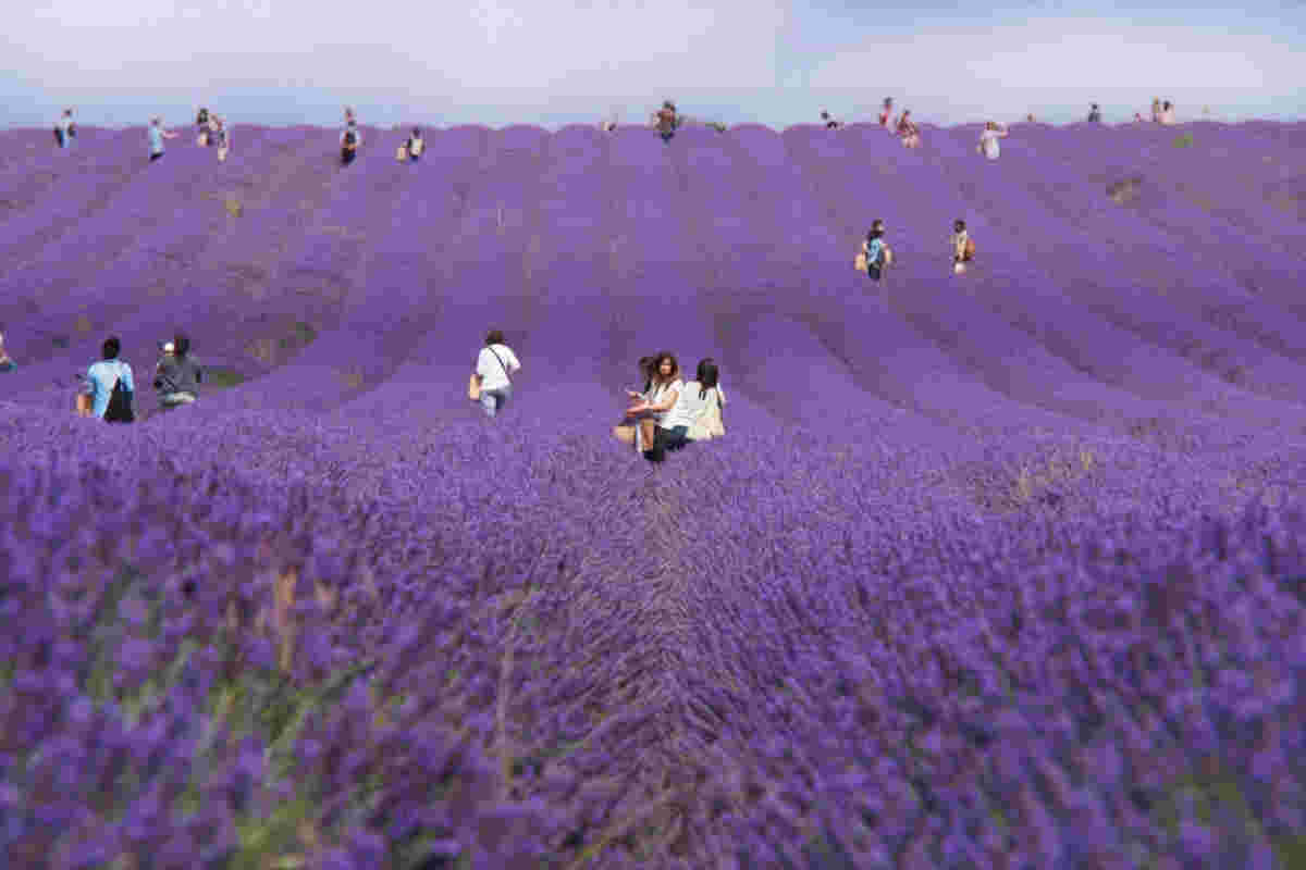 Hitchin Counselling Service