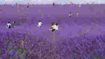 Experienced Counsellor