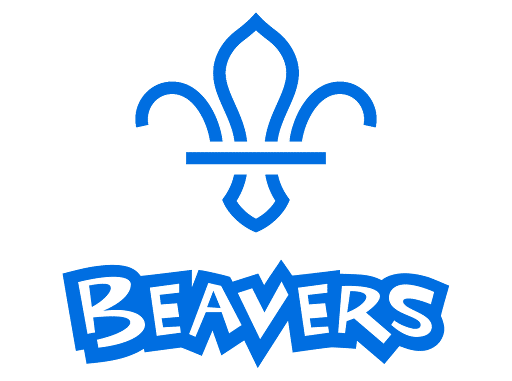 11th Gloucester Beaver Scouts