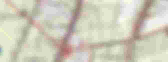 Word jij onze nieuwe secretaris?