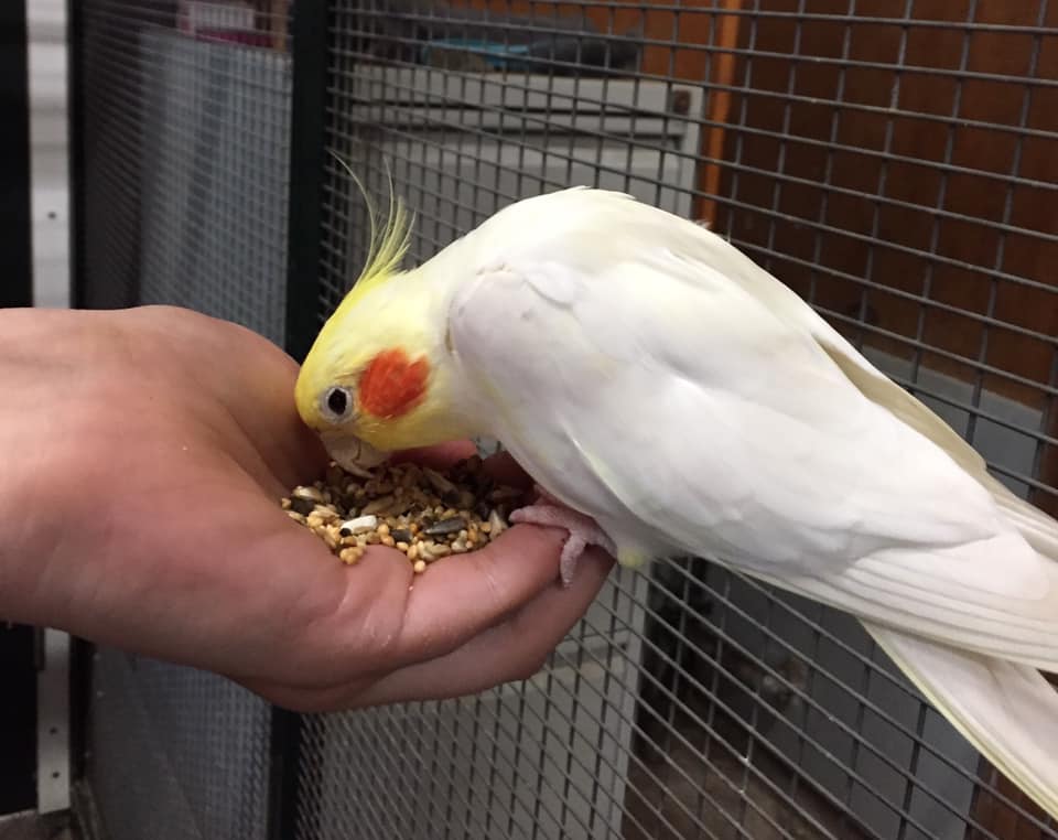 Buurtboerderij de Schaapskooi