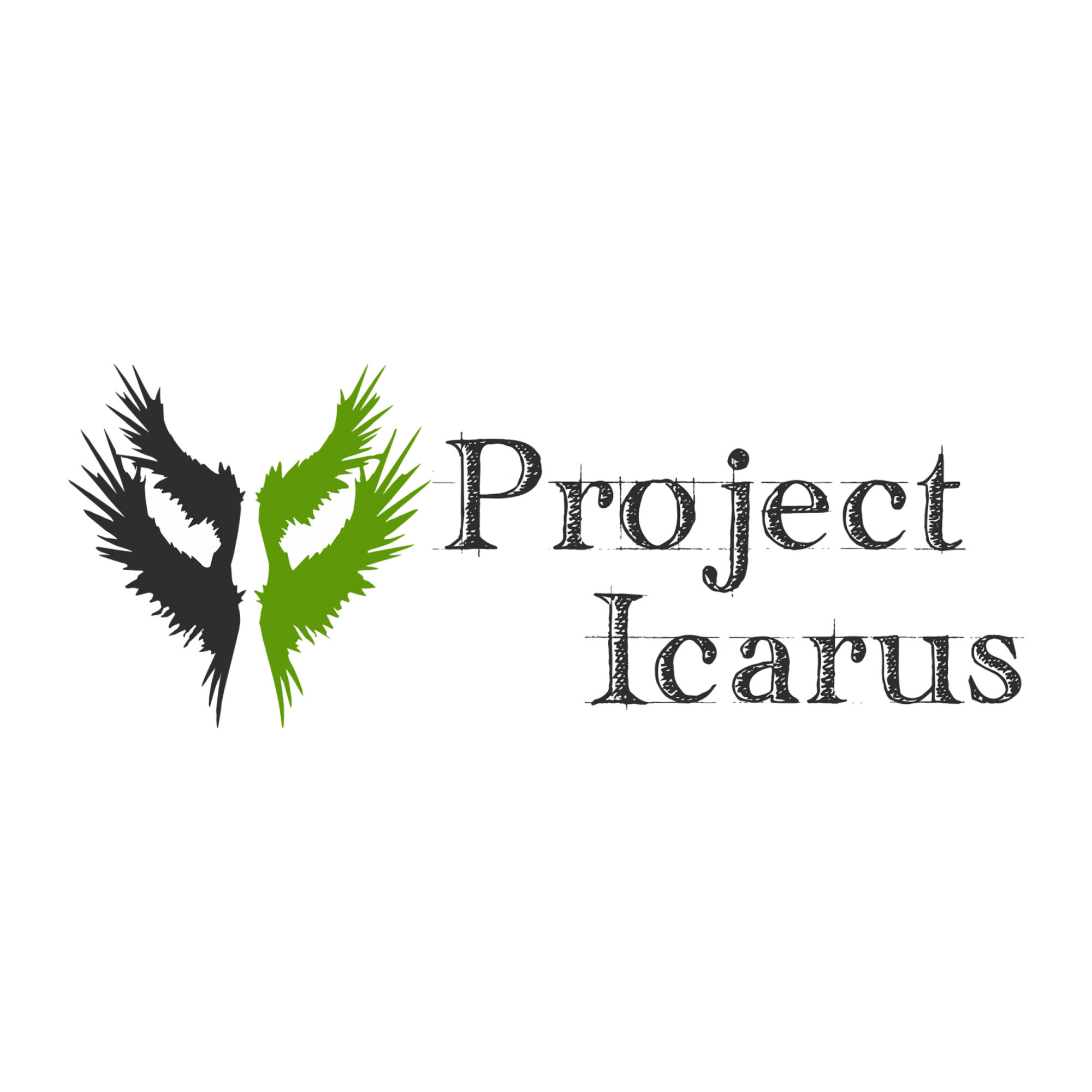 Project Icarus