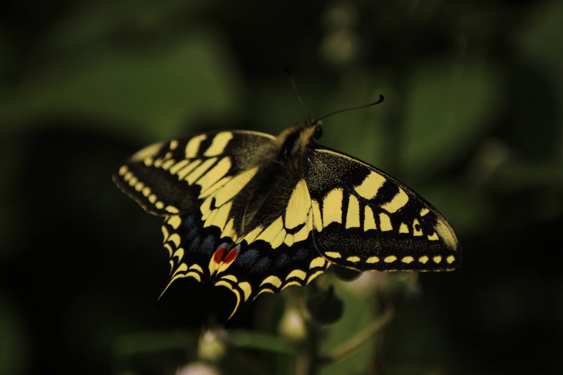 The Highest Finca - Sanctuary of Sustainability