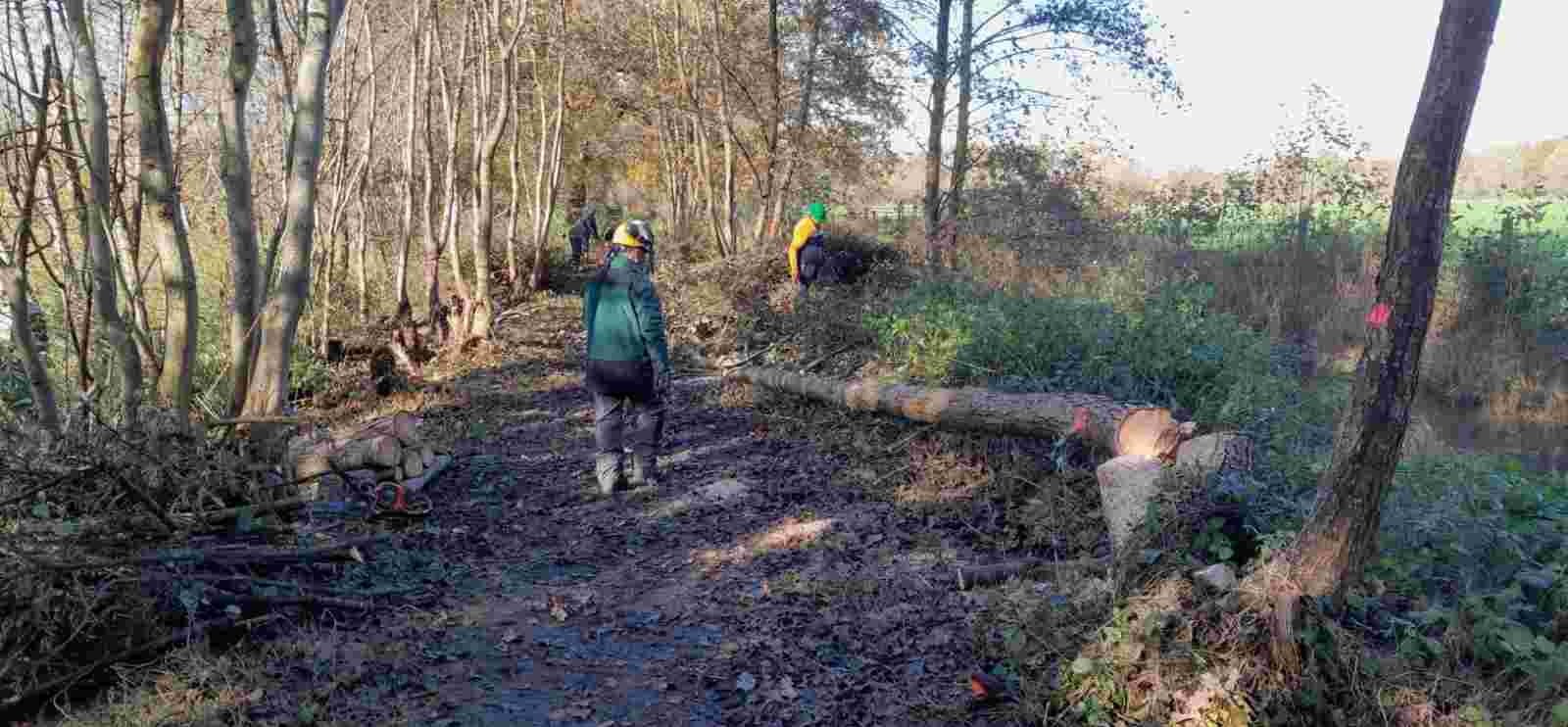 Knot- Beheergroep Zeist