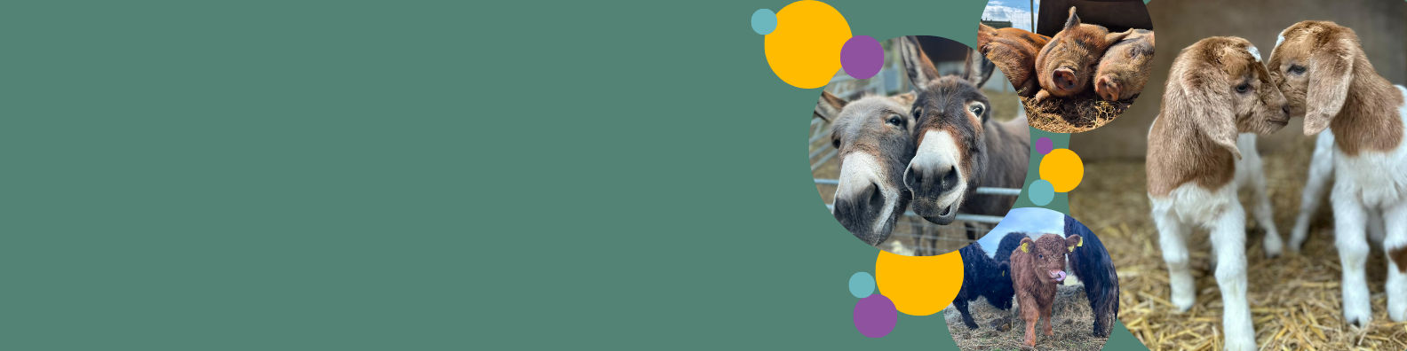 Sacrewell / The William Scott Abbott Trust