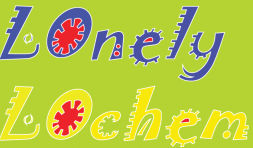 Stichting Lonely lochem