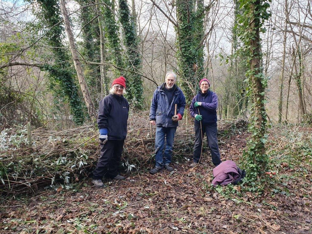 Stroud Valleys Project