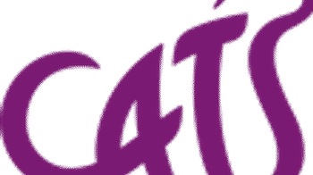 Cat and/or Kitten fosterer