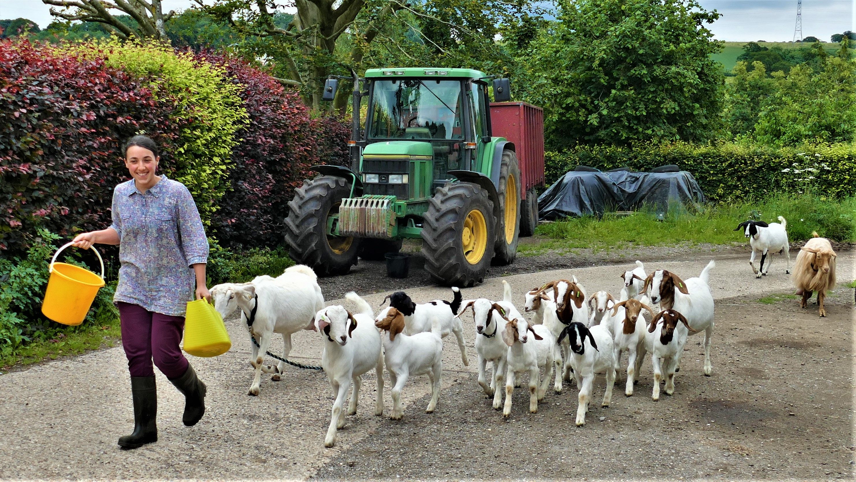 Countryways Road Farm