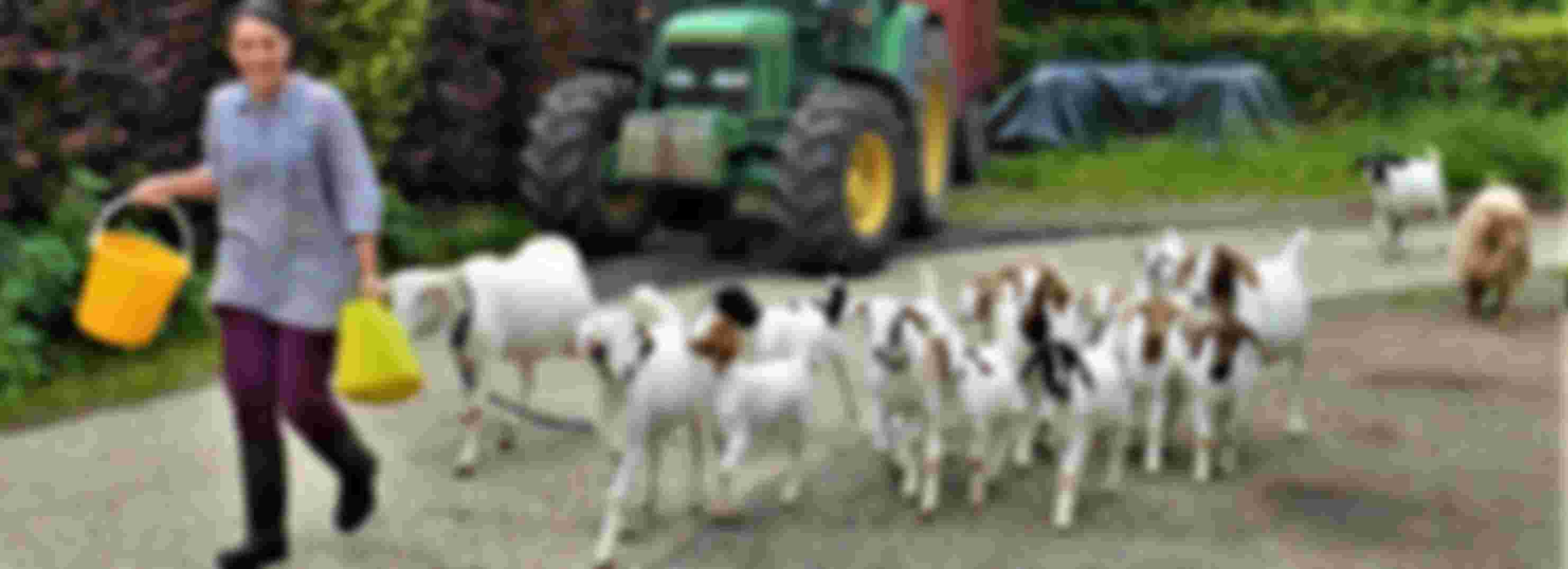 Countryways Road Farm