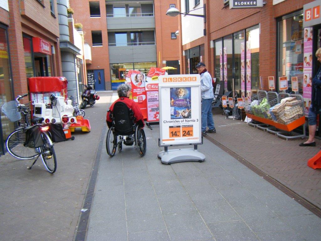 Platform Gehandicapten & Senioren in Nieuwkoop (PGSN)