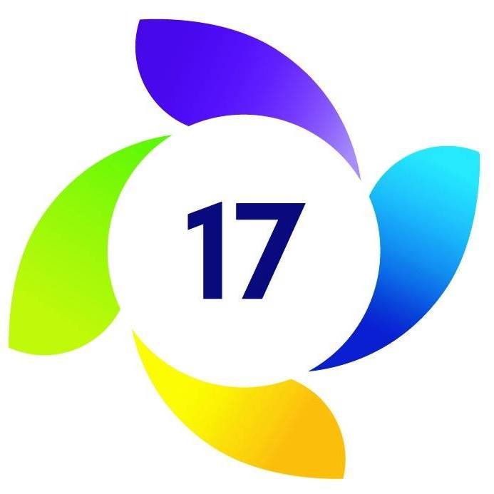 Goal 17 Mentoring: Minehead