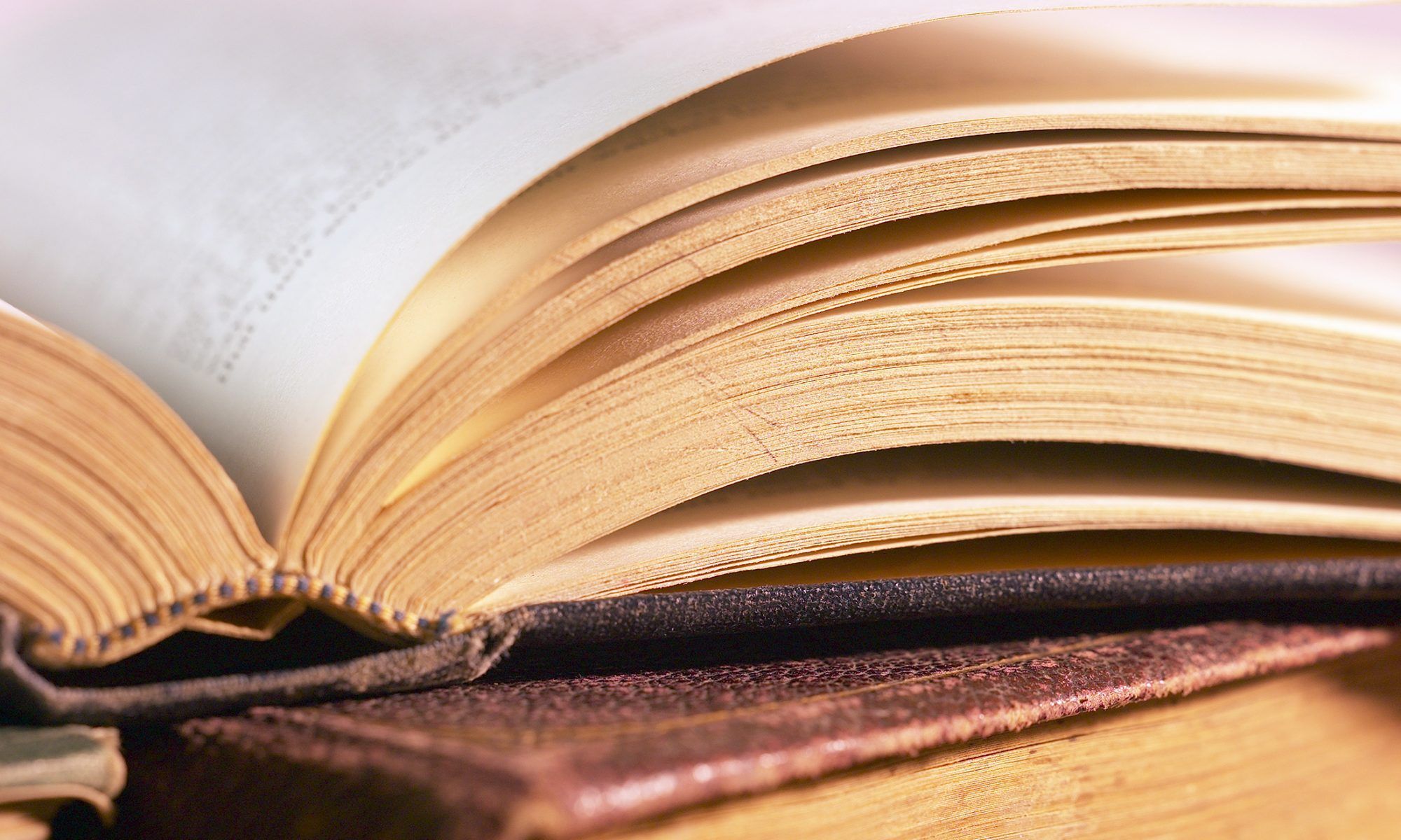 Vereniging Deventer Literair