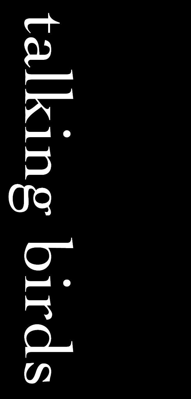 Talking Birds Theatre Company