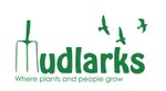 The Mudlarks Community