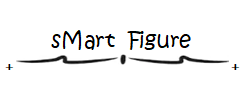 sMart Figure