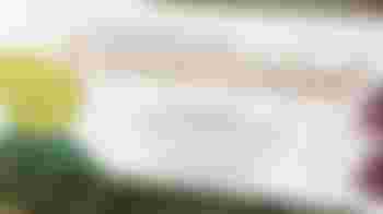 Kom tuinieren in onze Stinzenplantentuin de Commelinhof