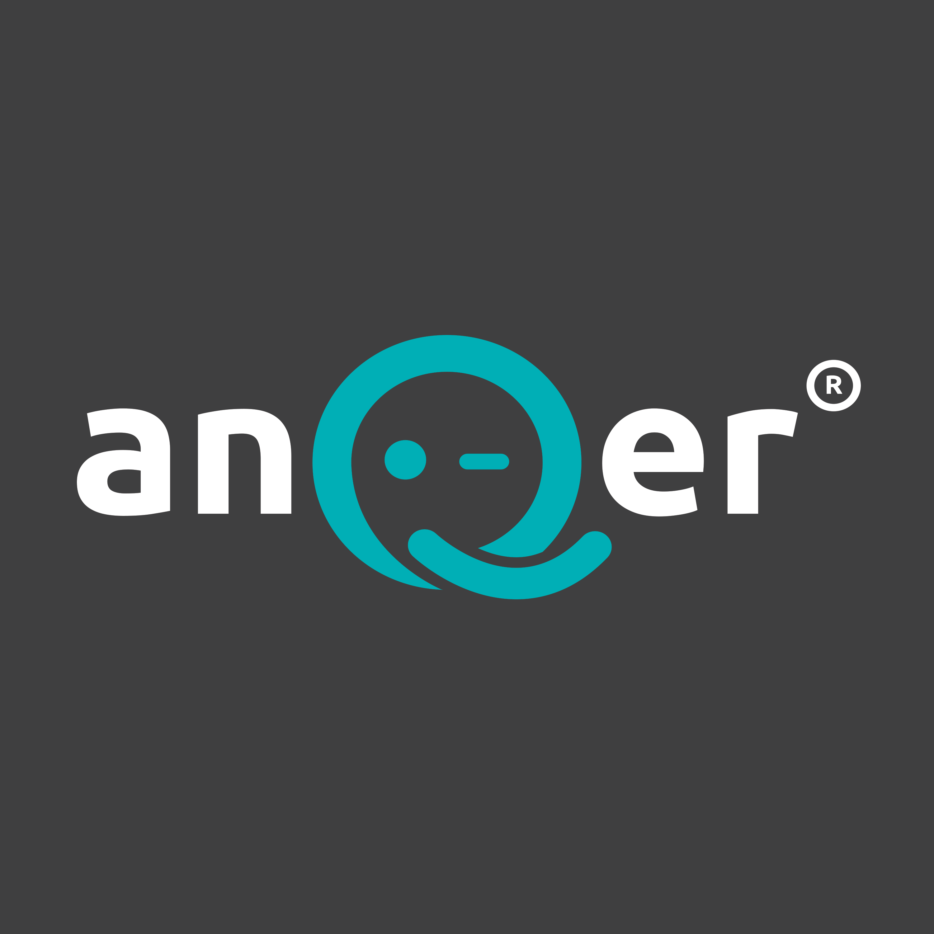 AnQer