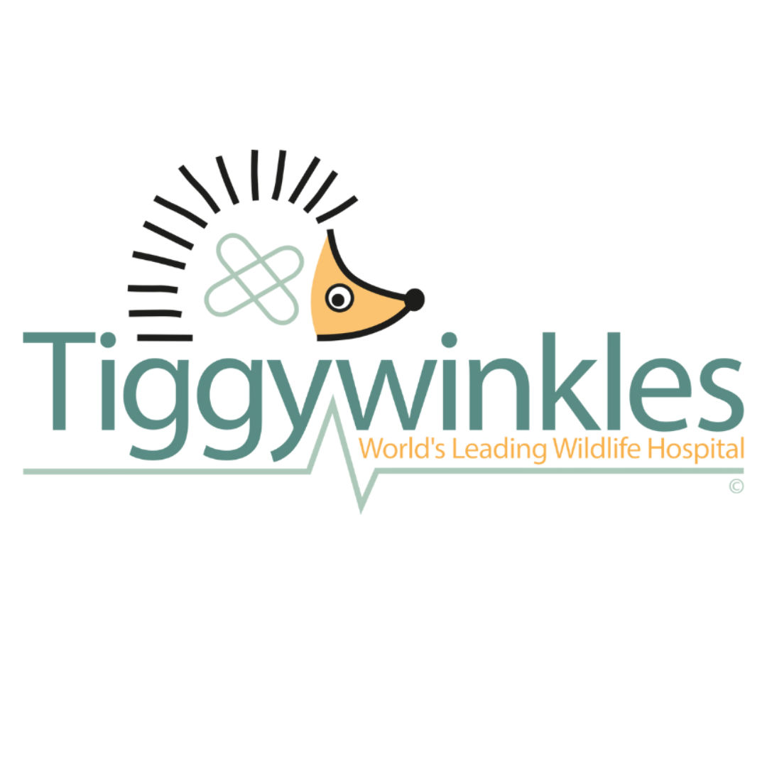 The Wildlife Hospital Foundation, Tiggywinkles