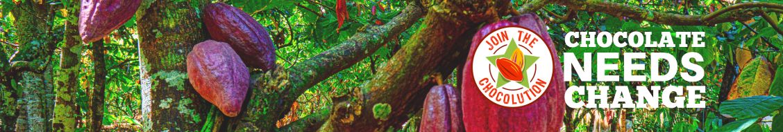 Join the Chocolution