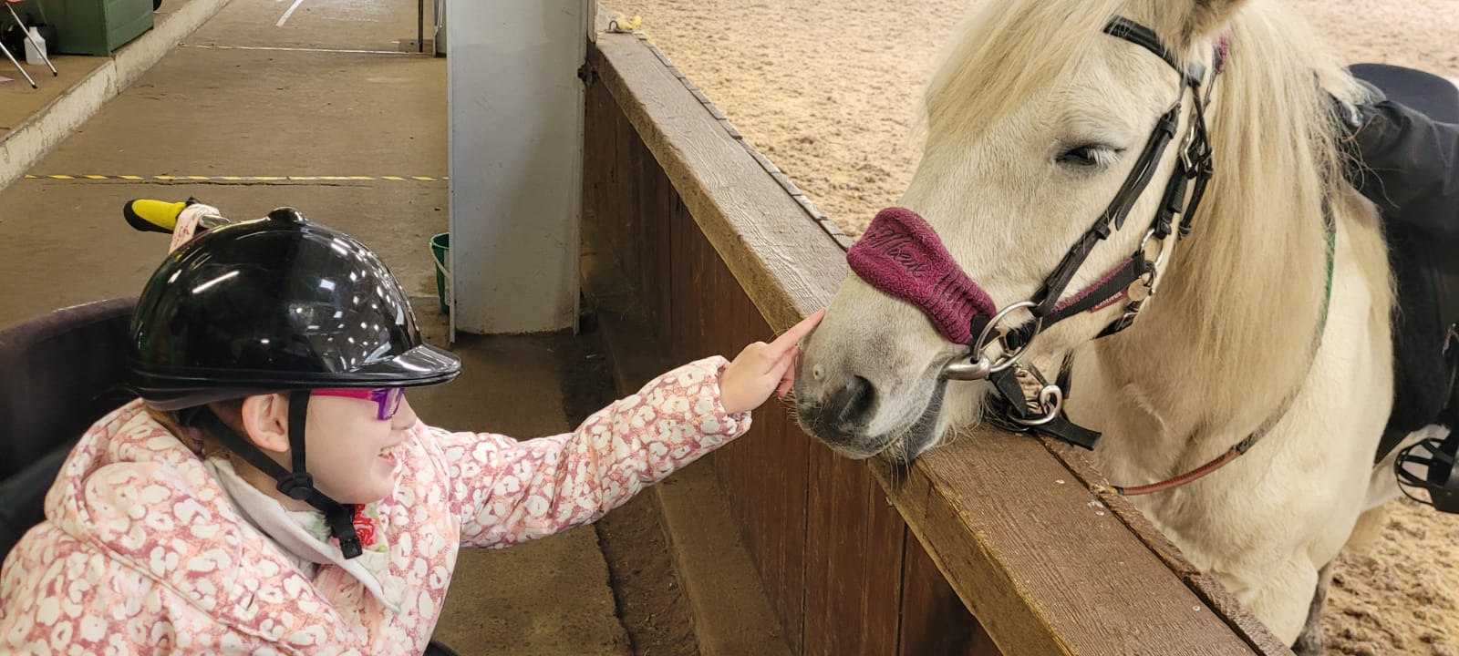 Gaddesden Place Riding for the Disabled