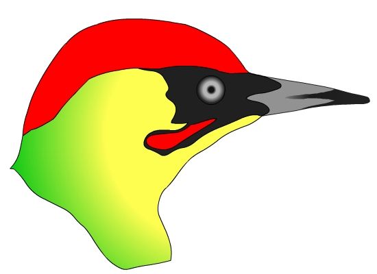 Friends of Croxley Common Moor