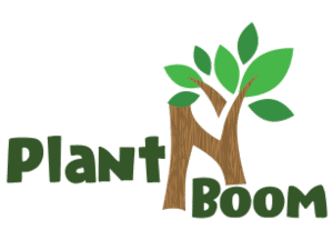 Stichting Plant N Boom