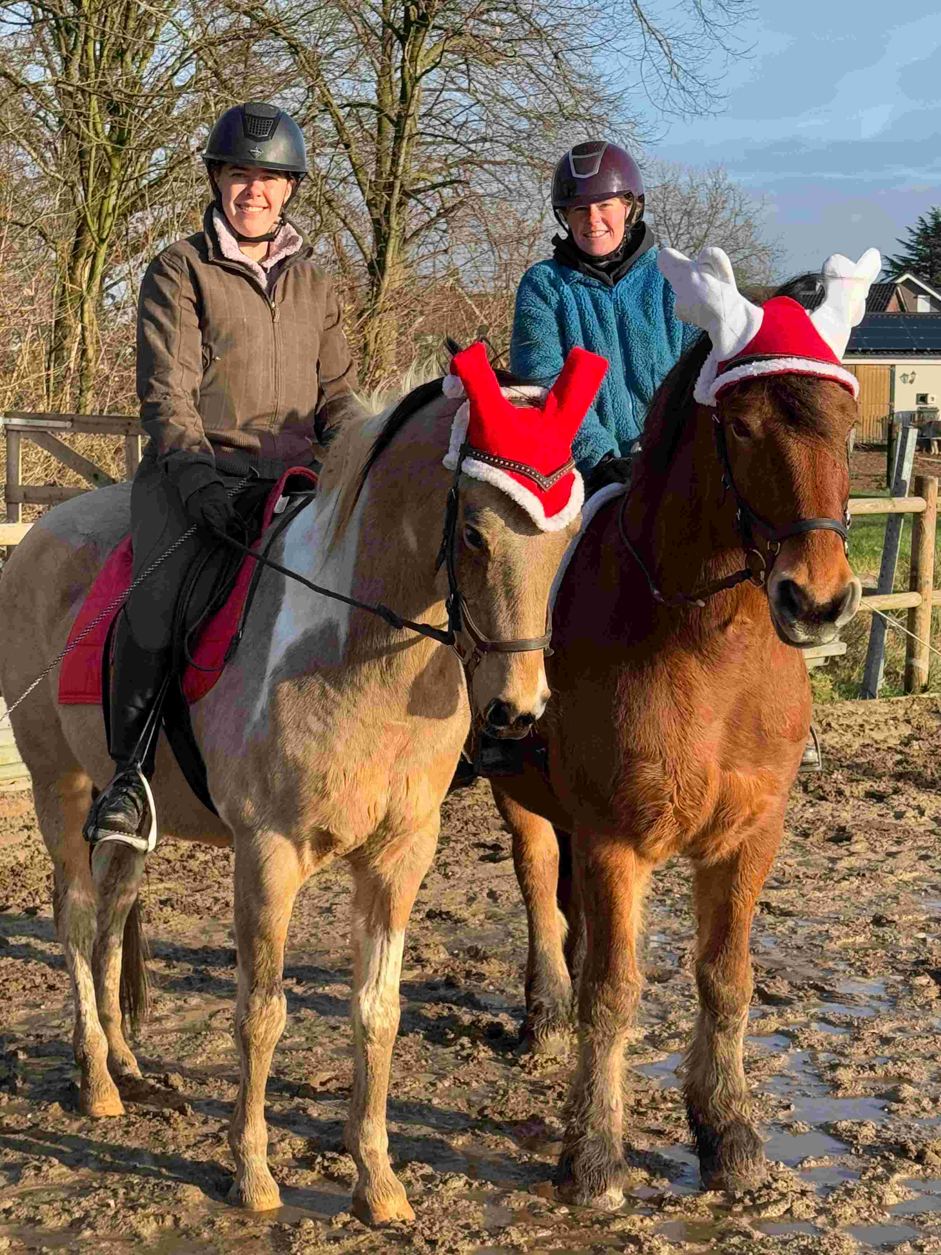 Stichting pink stables
