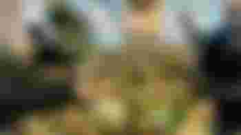 Vrijwilligerswerk sorteren groente en fruit