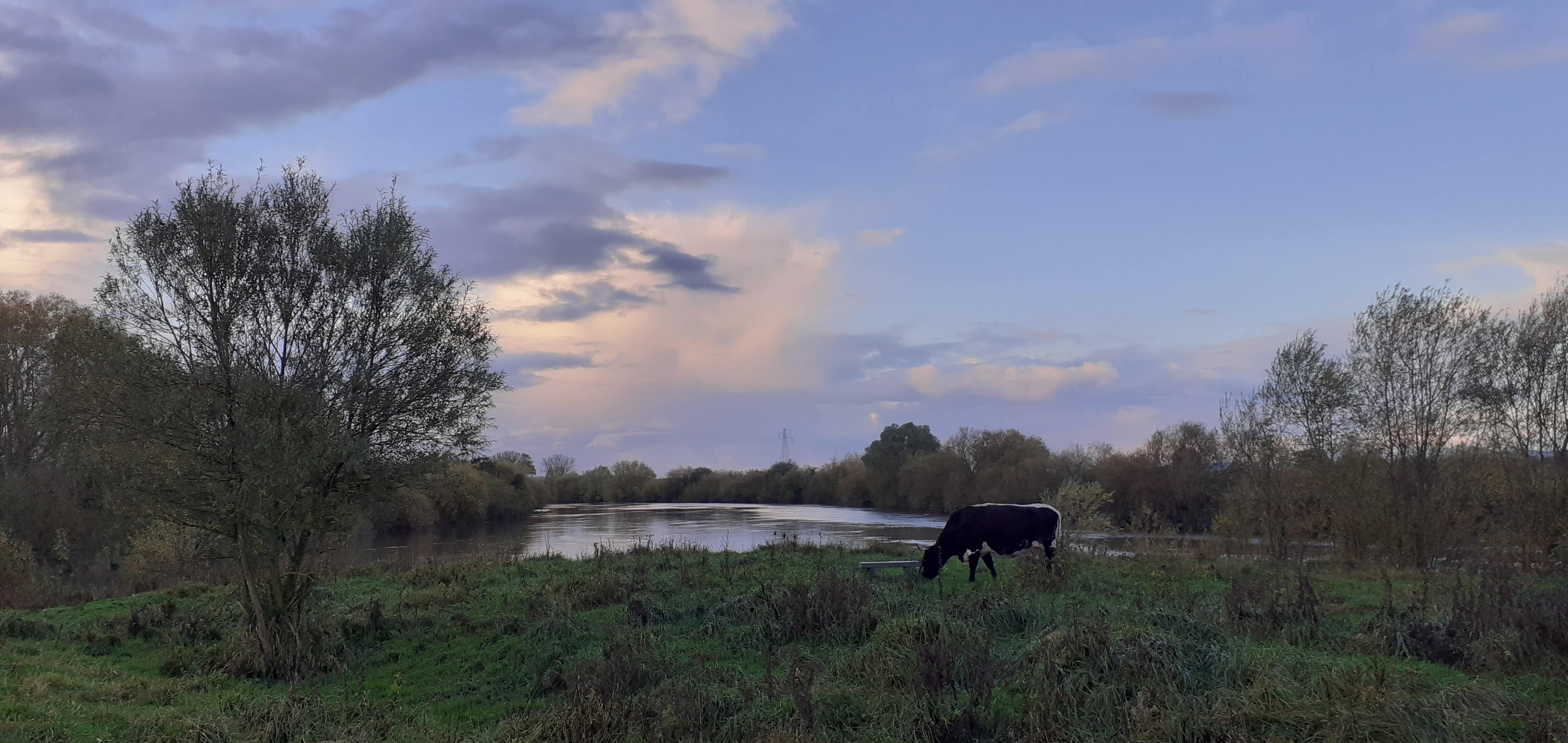 A mouse lived in a windmill - Monday 27 October - 9:30 am - 12:30 pm