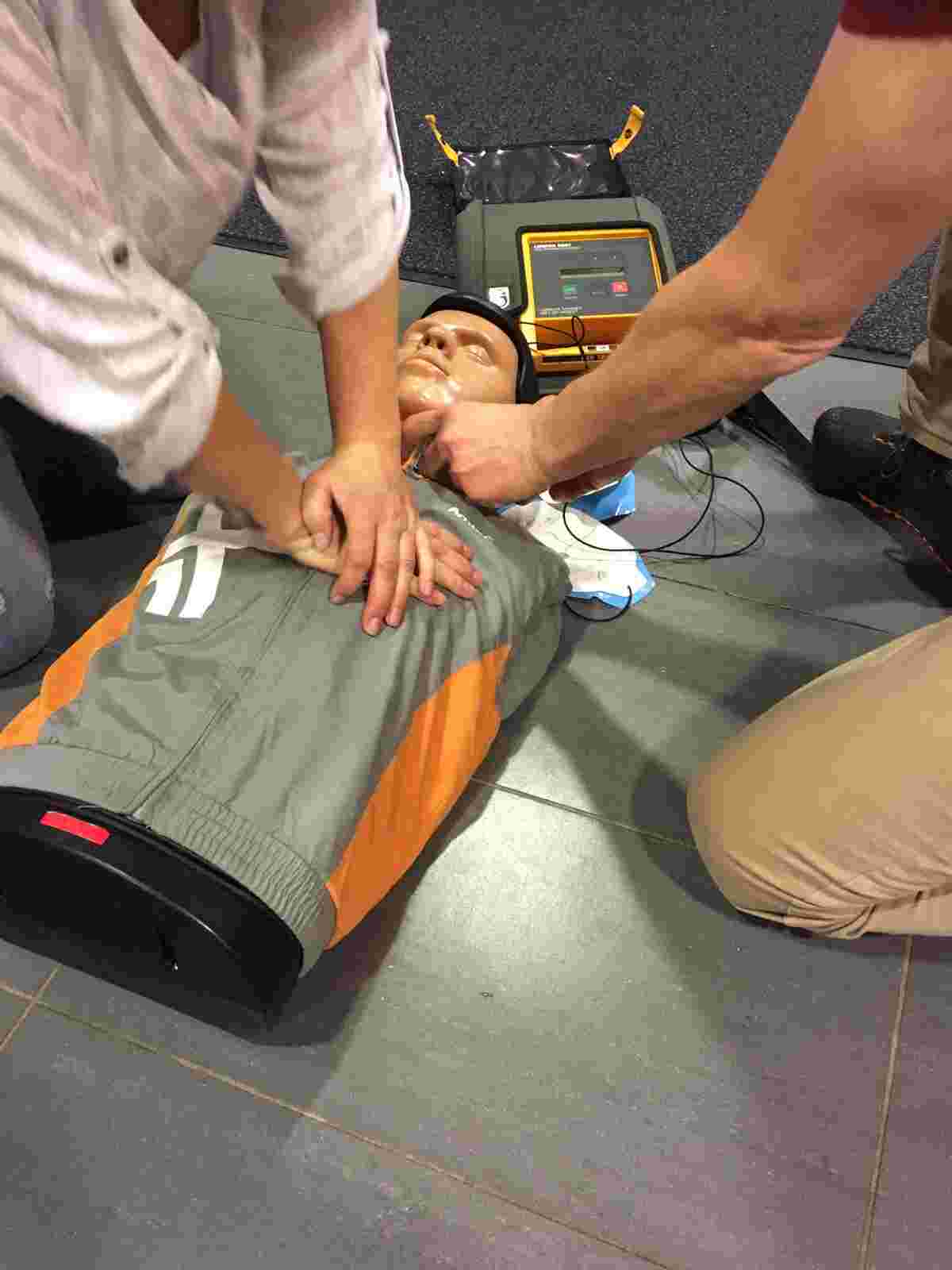 Hartreanimatie Stichtse Vecht