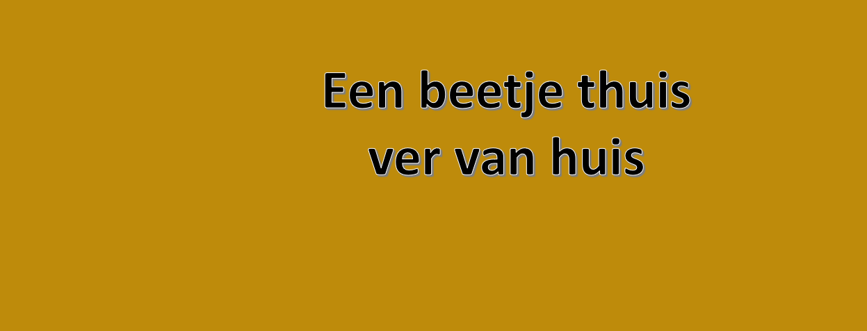 Taalmaatje voor alleenstaande minderjarige vluchtelingen van AZC Utrecht