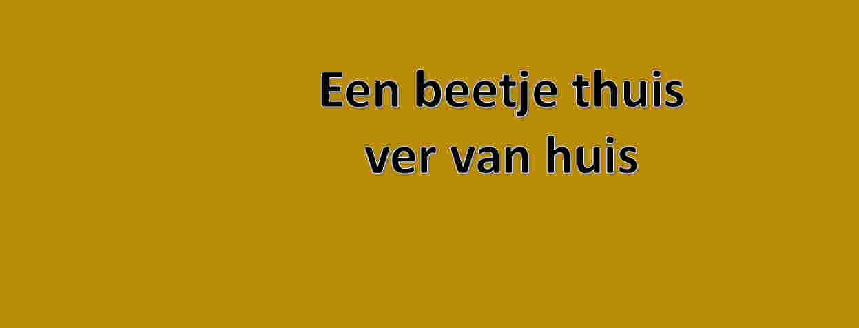 Taalmaatje voor alleenstaande minderjarige vluchtelingen van AZC Utrecht