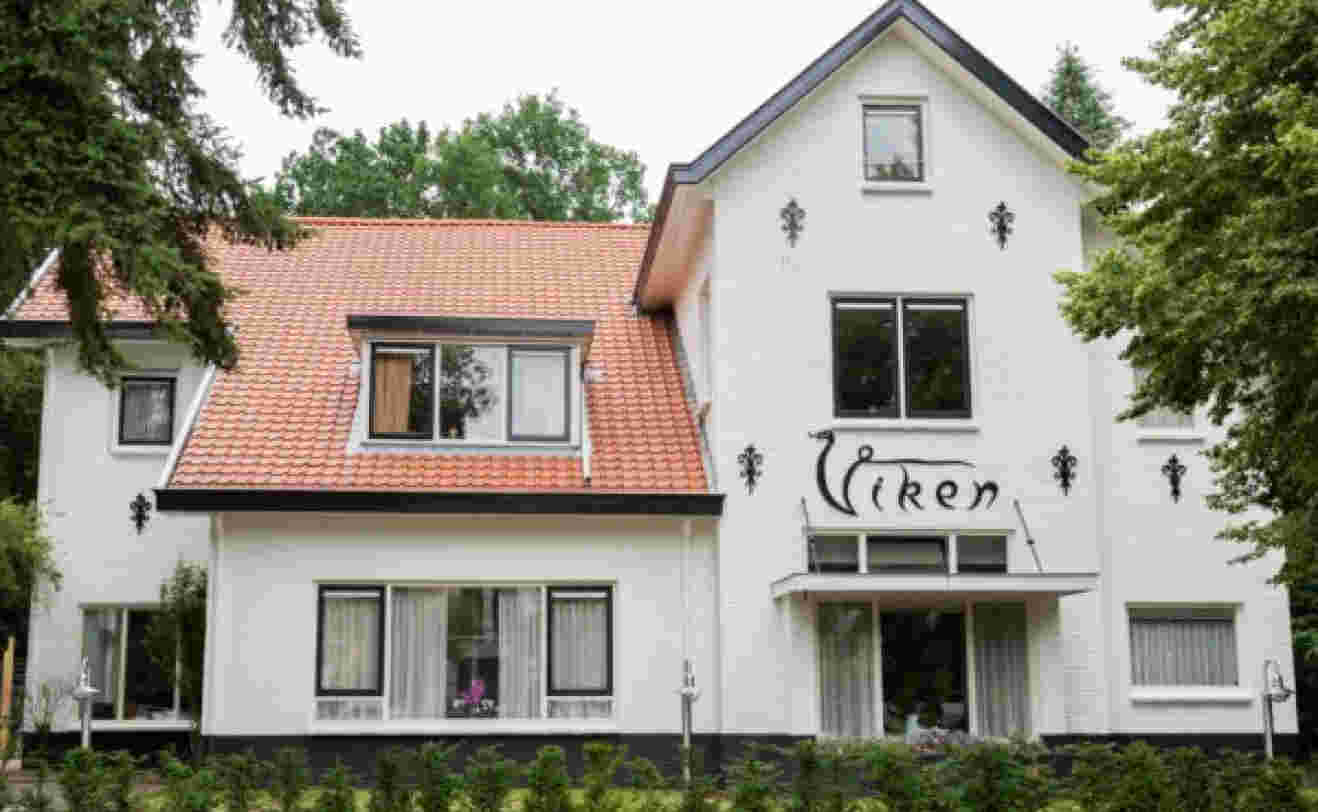 Schilderen met Ineke