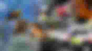 Casualty Simulator Trainee